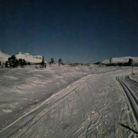 Stor Leilighet Med 4 Senger Sentralt I Forde Dış mekan fotoğraf